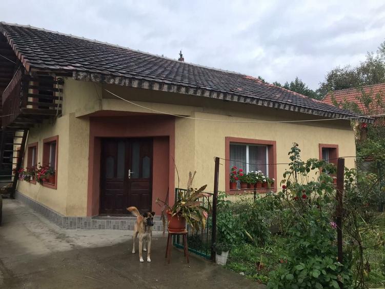 Casă cu 4 camere cu Teren 2500 Mp în Ilovăț