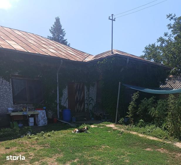 Casă cu 5 camere cu Teren 989 Mp în Bujoreni