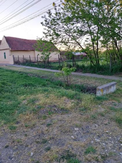 Casă cu Teren 2158 Mp în Comloșu Mare