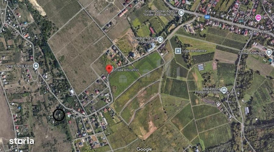 Viticultori Copou teren 4000mp (6loturi)cu Puz realizat - 1