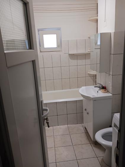 Garsonieră în Buziașului