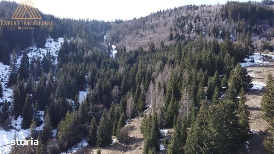 Teren de 43000 mp, în Central