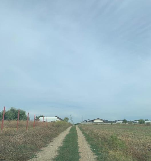 Teren agricol intravilan de 4000 mp, în Dimieni
