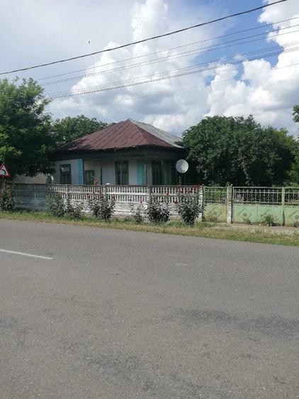 Casă cu Teren 3000 Mp în Râmnicelu