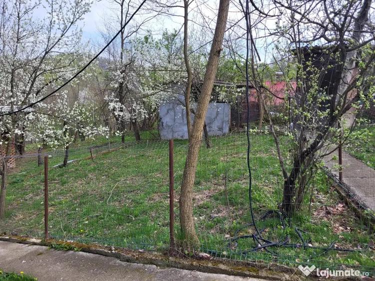 Casă cu 3 camere în Central