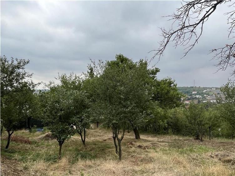 Casă individuală cu 6 camere cu Piscina în Dealuri Oradea