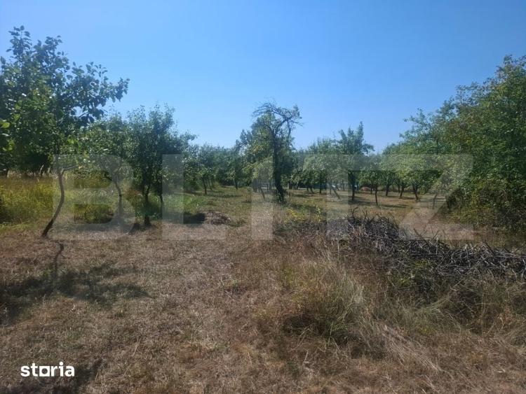 Teren de 2493 mp, în Cobia