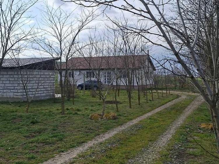 Teren de 90000 mp, în Peștera