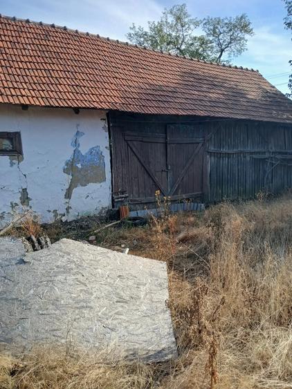 Casă cu Teren 2254 Mp în Bruznic