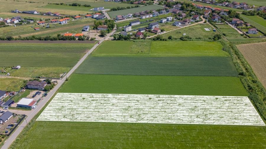 Teren Construcții intravilan de 9300 mp, în Stupini