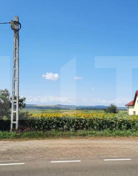 Teren agricol extravilan de 8367 mp, în Bucecea