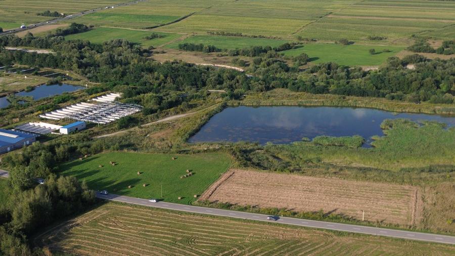 Teren agricol extravilan de 510 mp, în Cârțișoara
