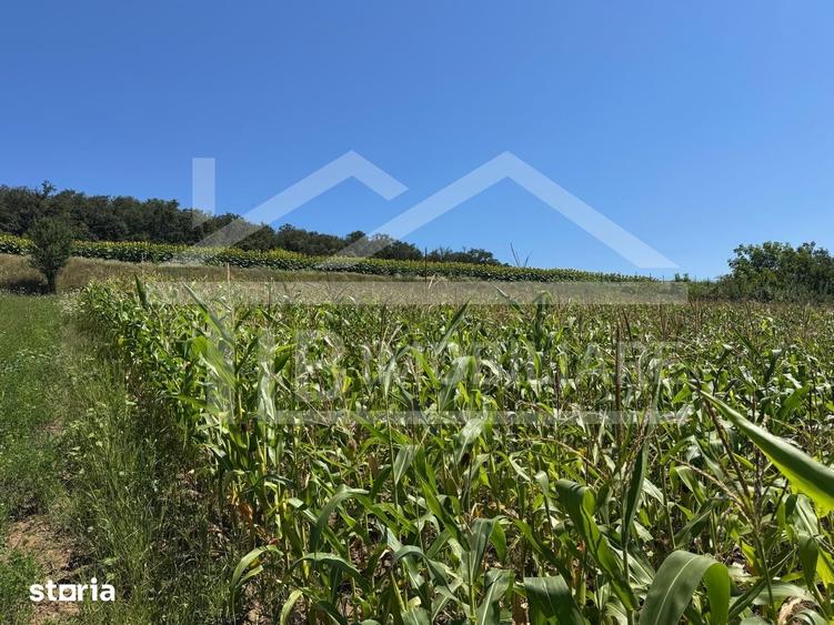Teren, 1734mp, intravilan, zona Remetea - 2
