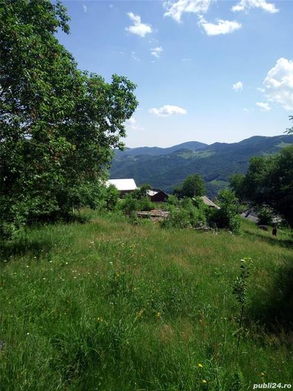 Teren de 5619 mp, în Măguri