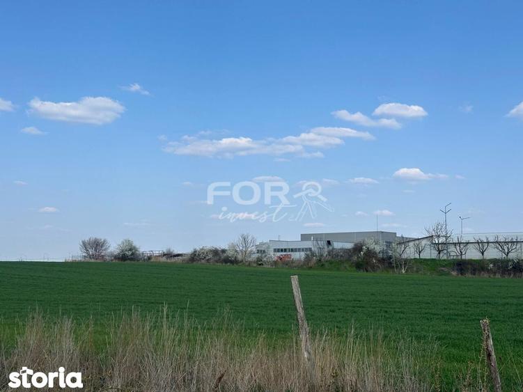 Teren de 1000 mp, în Calea Aradului