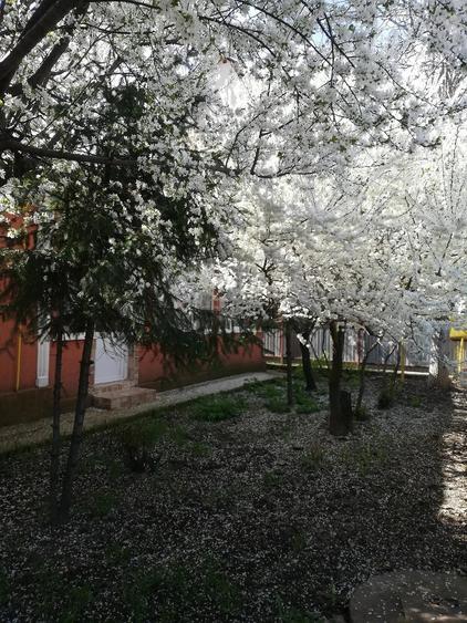 Casă cu 3 camere cu Teren 864 Mp în Siliștea