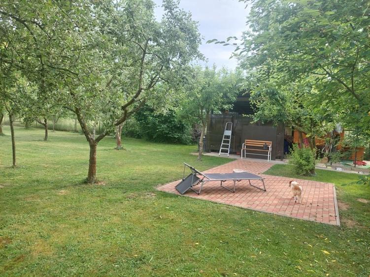 Duplex cu 5 camere cu Canalizare în Crăciunești