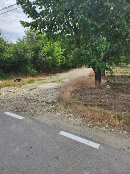 Teren de 1271 mp, în Domnești