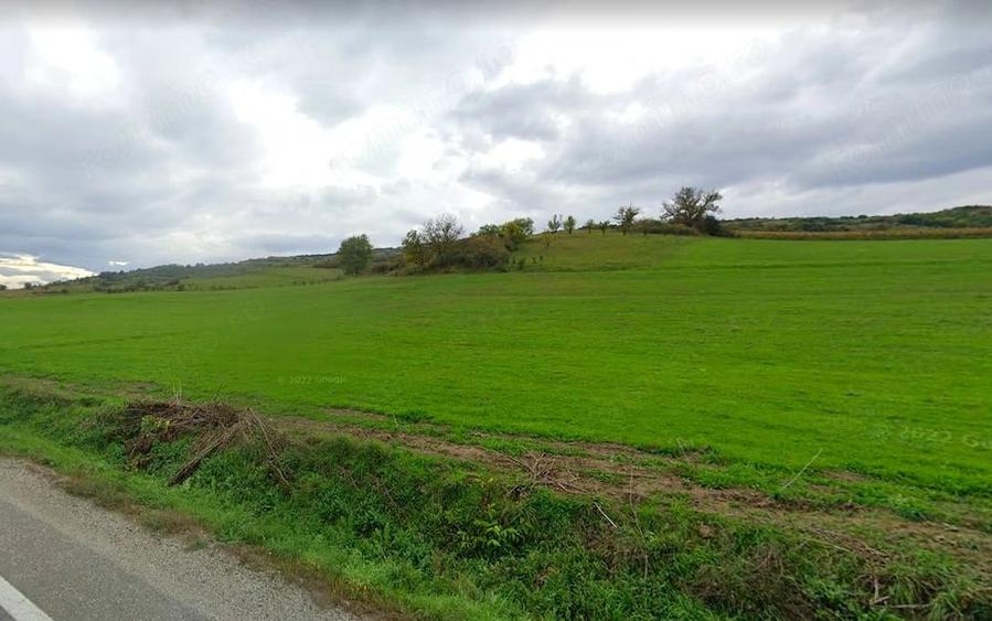 Teren de 42000 mp, în Șeica Mare