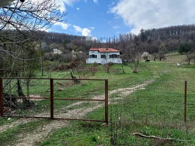 Casă cu 4 camere cu Teren 9000 Mp în Cotmeana