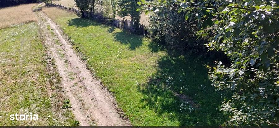 Teren de 5000 mp, în Șinca