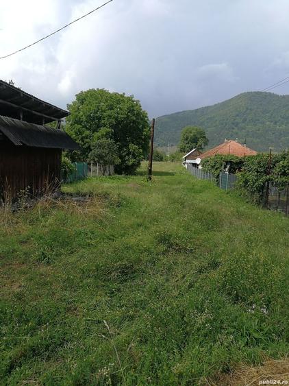Teren în Stejaru (Pângărați)