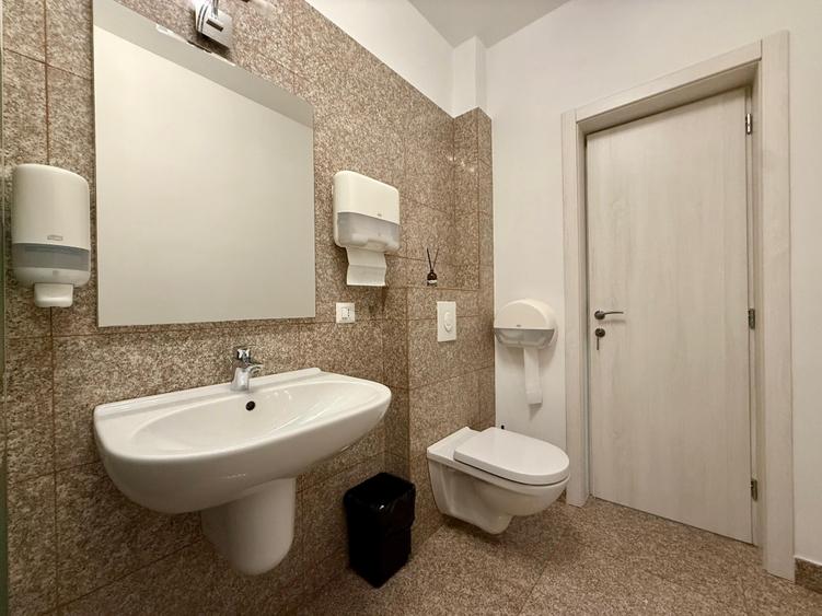 2 camere  Central  Renovat complet  Garaj + Boxă  Centrala+incalzire pardoseala - 9