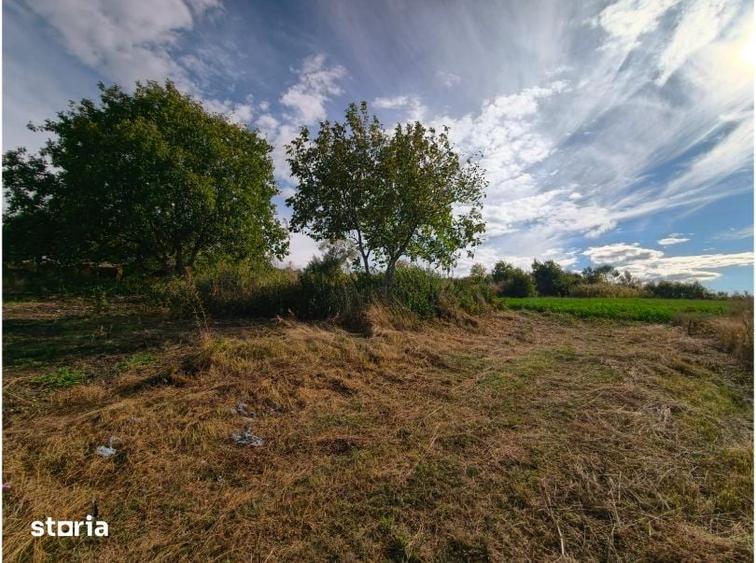 Teren Intravilan, 1030 mp, Zona Hamba-Sura Mare - 2