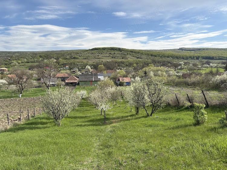 Casă cu 3 camere în Feiurdeni