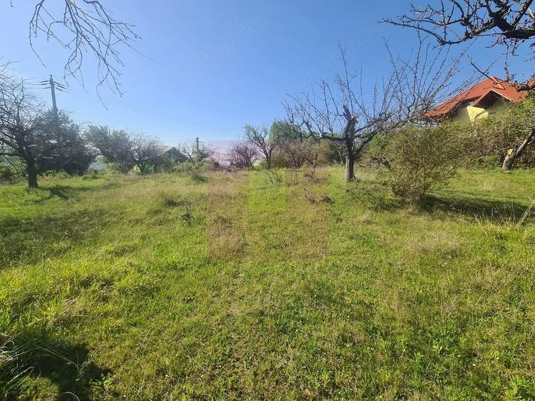 Teren de 1300 mp, în Voila