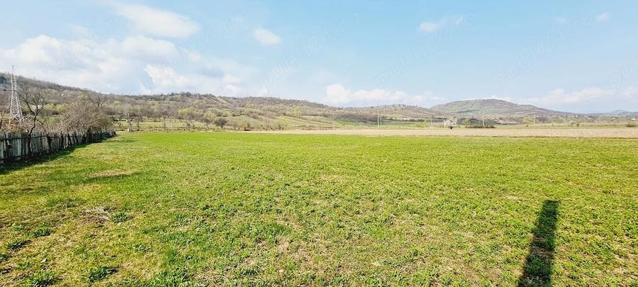 Teren de 8906 mp, în Dofteana