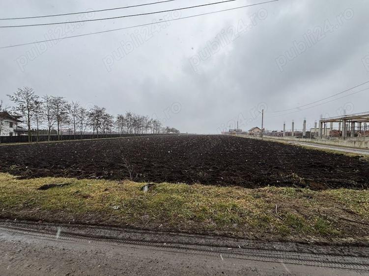 Teren de 15000 mp, în Saucenița