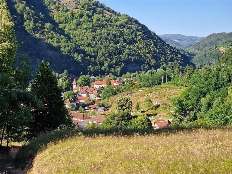 Teren Construcții intravilan de 31258 mp, în Remeți