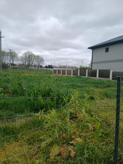 Teren Construcții intravilan de 566 mp, în Elvila