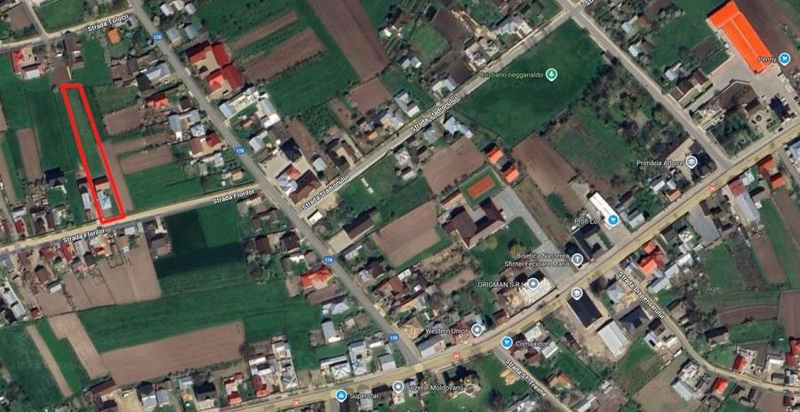 Casă cu 3 camere în Arbore