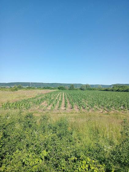 Teren de 3000 mp, în Central