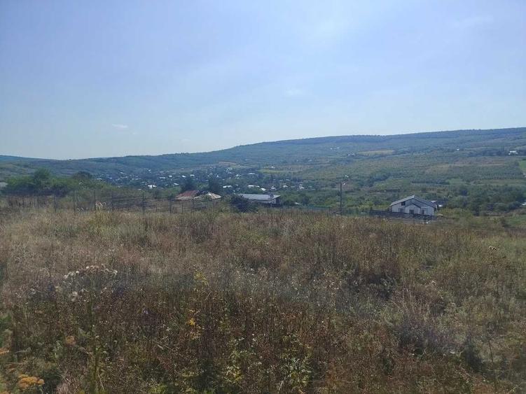 12990 EURO Tomesti-Goruni Teren de Vanzare - 10