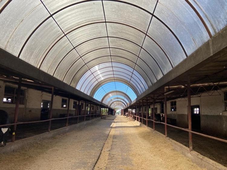 Proprietate specială, de 370,000 mp, în Cotorca