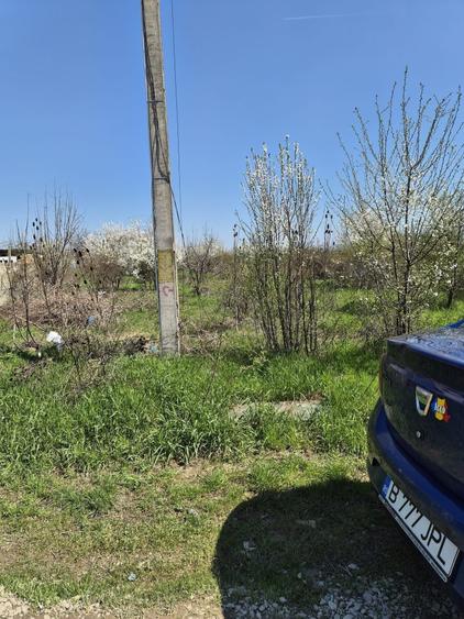 Spațiu comercial, în Mogoșoaia