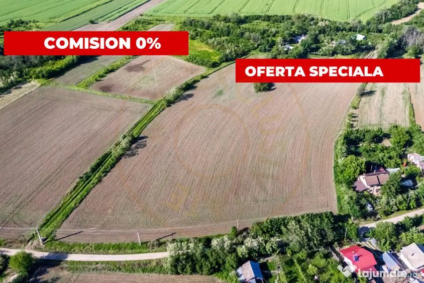 Teren de 5830 mp, în Rociu
