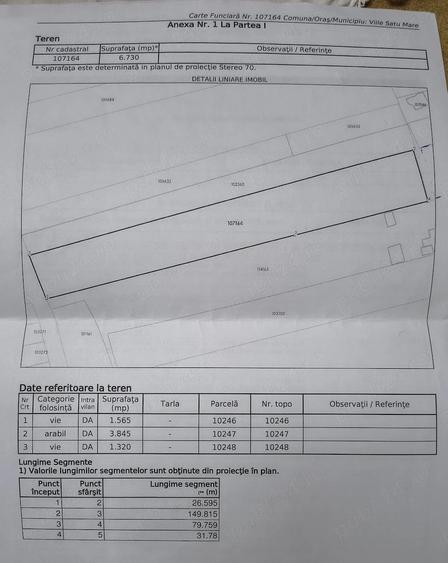 Teren de 6670 mp, în Viile Satu Mare