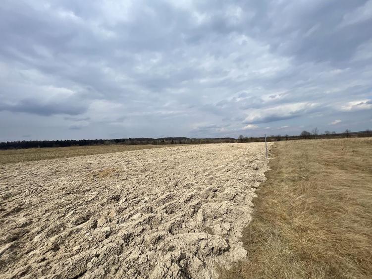 Teren agricol extravilan de 2300 mp, în Horodnic de Sus