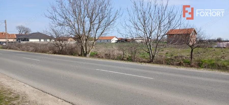 Teren de 798 mp, în Peciu Nou