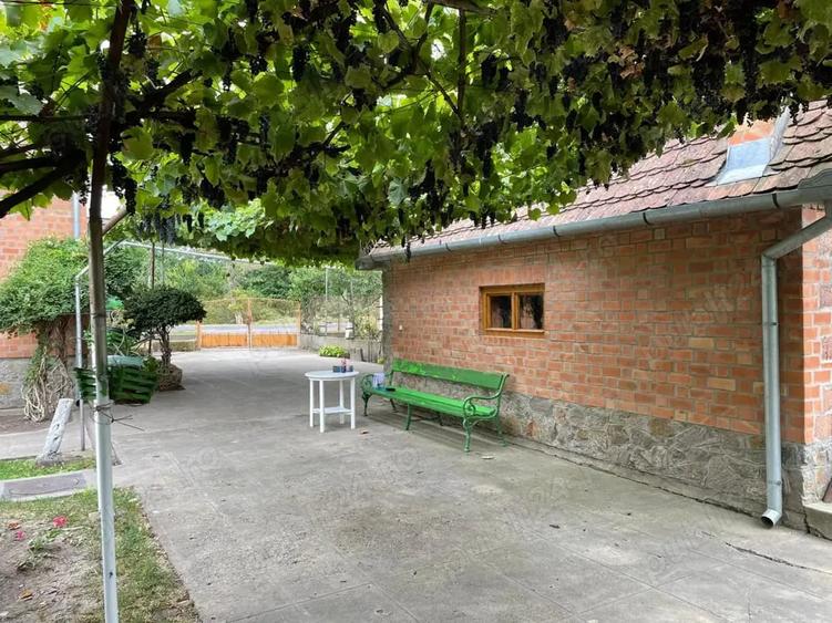 Casă cu 6 camere cu Teren 3000 Mp în Jimbolia