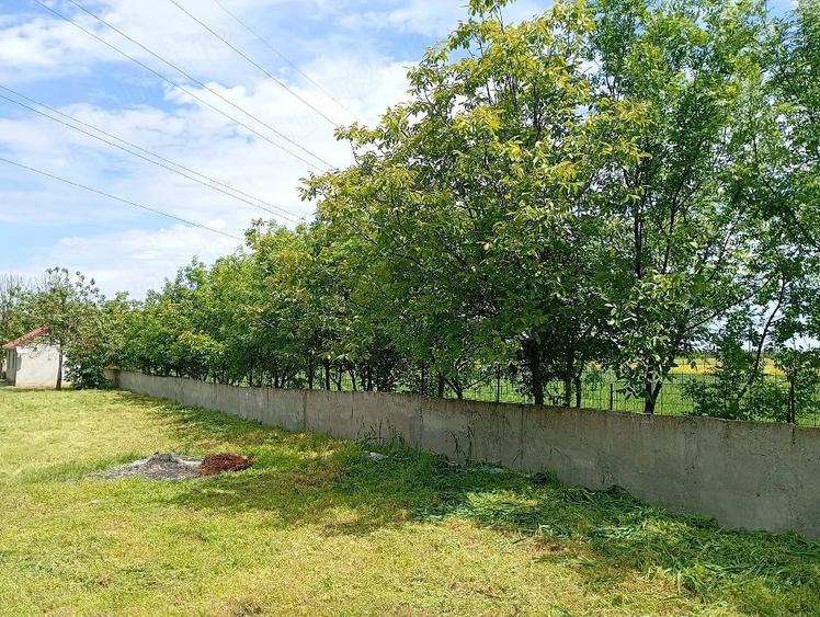 Casă cu 2 camere cu Teren 3500 Mp în Central