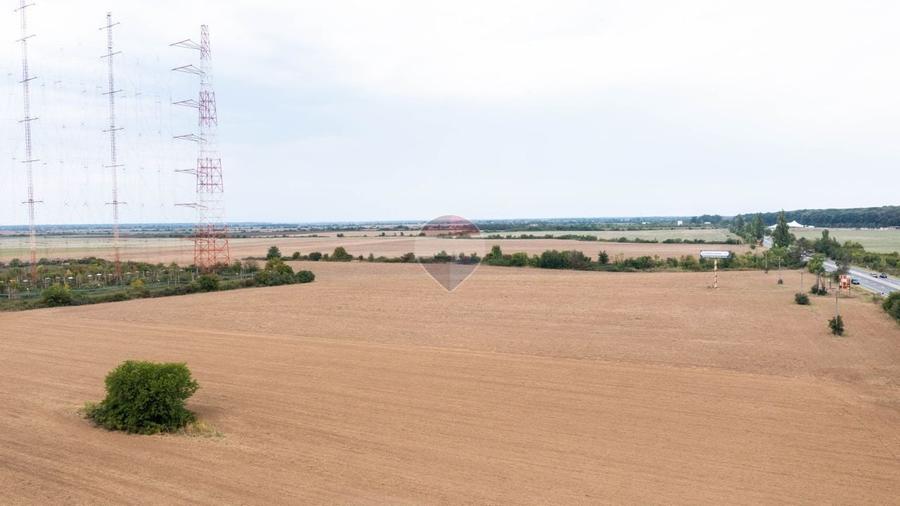 Teren Construcții intravilan de 10000 mp, în Ciolpani