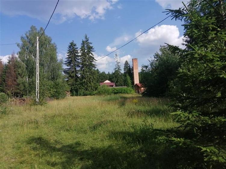 Teren Construcții intravilan de 2700 mp, în Izvoru Mureșului