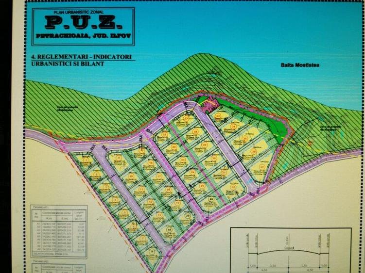 Teren Construcții intravilan de 25000 mp, în Petrăchioaia