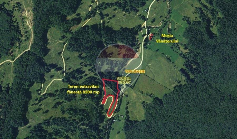 Teren agricol extravilan de 8500 mp, în Dălghiu