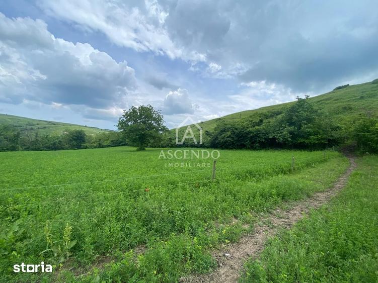 Teren de 15900 mp, în Năeni